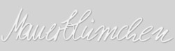 Mauerblümchen Logo - Partner von Art of Spring